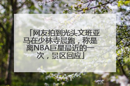网友拍到光头文班亚马在少林寺晨跑，称是离NBA巨星最近的一次，景区回应