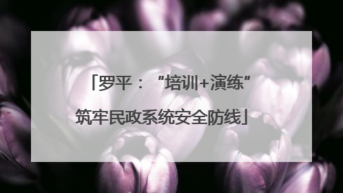 罗平：“培训+演练”筑牢民政系统安全防线
