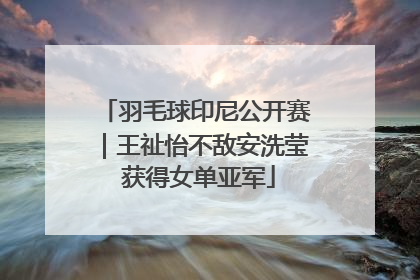 羽毛球印尼公开赛｜王祉怡不敌安洗莹 获得女单亚军