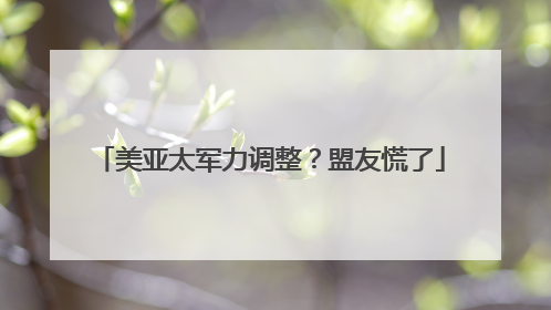 美亚太军力调整？盟友慌了
