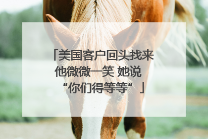 美国客户回头找来 他微微一笑 她说“你们得等等”