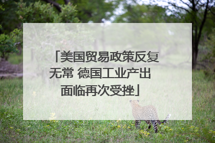 美国贸易政策反复无常 德国工业产出面临再次受挫