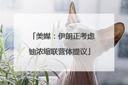 美媒：伊朗正考虑铀浓缩联营体提议