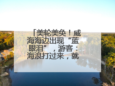 美轮美奂！威海海边出现“蓝眼泪”，游客：海浪打过来，就像星河一样
