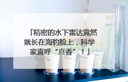 精密的水下雷达竟然就长在海豹脸上，科学家直呼“真香”！