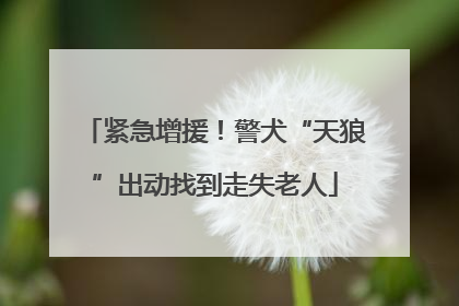 紧急增援！警犬“天狼”出动找到走失老人
