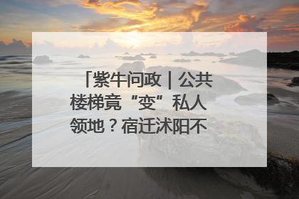 紫牛问政｜公共楼梯竟“变”私人领地？宿迁沭阳不动产登记引质疑