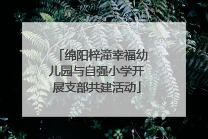 绵阳梓潼幸福幼儿园与自强小学开展支部共建活动