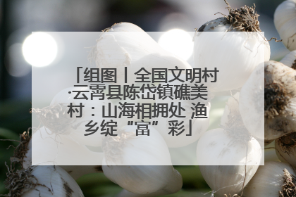 组图丨全国文明村·云霄县陈岱镇礁美村：山海相拥处 渔乡绽“富”彩