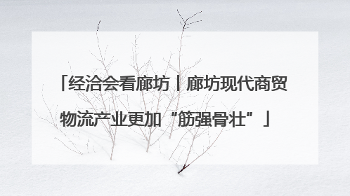 经洽会看廊坊丨廊坊现代商贸物流产业更加“筋强骨壮”