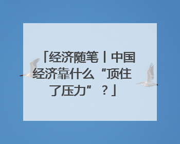 经济随笔丨中国经济靠什么“顶住了压力”？