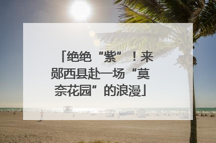绝绝“紫”！来郧西县赴一场“莫奈花园”的浪漫