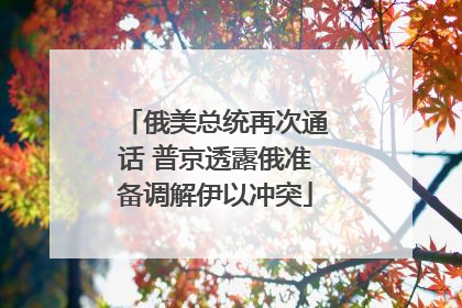 俄美总统再次通话 普京透露俄准备调解伊以冲突