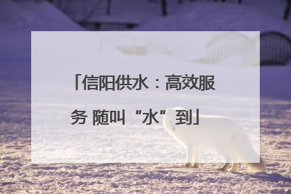 信阳供水：高效服务 随叫“水”到