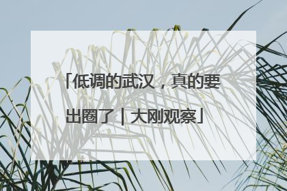 低调的武汉，真的要出圈了｜大刚观察