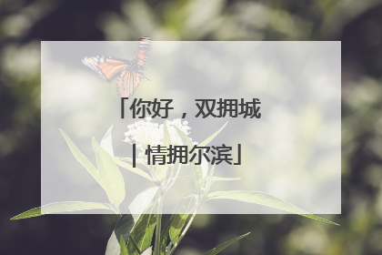 你好，双拥城｜情拥尔滨