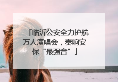 临沂公安全力护航万人演唱会，奏响安保“最强音”