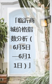 临沂商城价格指数分析（6月5日—6月11日）