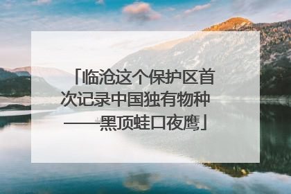 临沧这个保护区首次记录中国独有物种——黑顶蛙口夜鹰