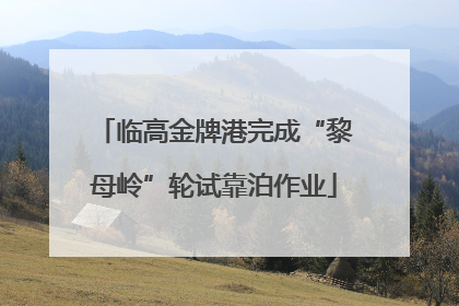 临高金牌港完成“黎母岭”轮试靠泊作业