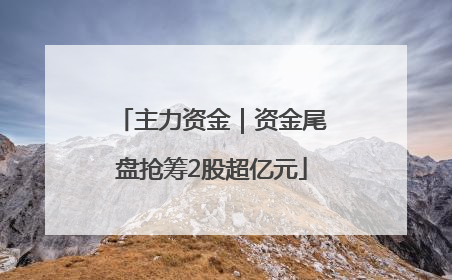主力资金｜资金尾盘抢筹2股超亿元