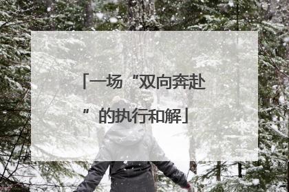 一场“双向奔赴”的执行和解