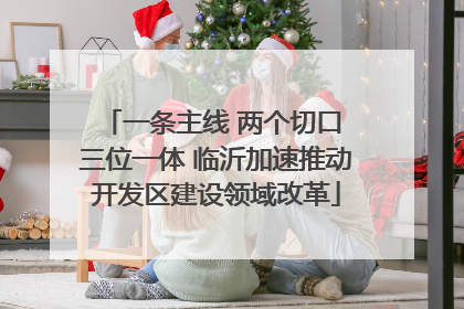 一条主线 两个切口 三位一体 临沂加速推动开发区建设领域改革