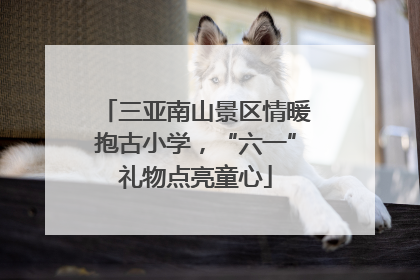 三亚南山景区情暖抱古小学，“六一”礼物点亮童心