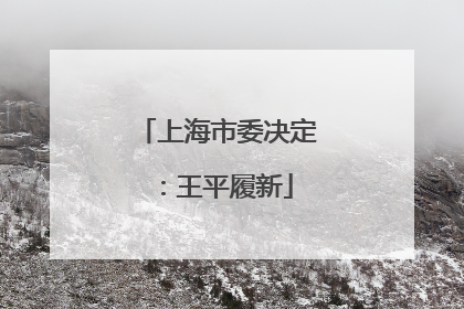 上海市委决定：王平履新