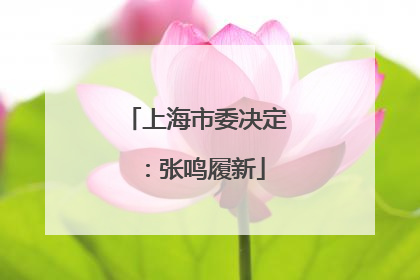 上海市委决定：张鸣履新
