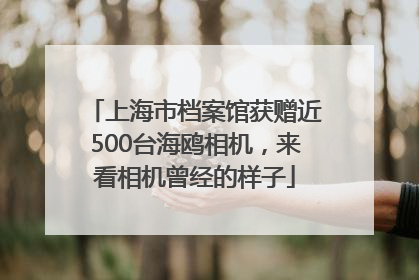 上海市档案馆获赠近500台海鸥相机，来看相机曾经的样子