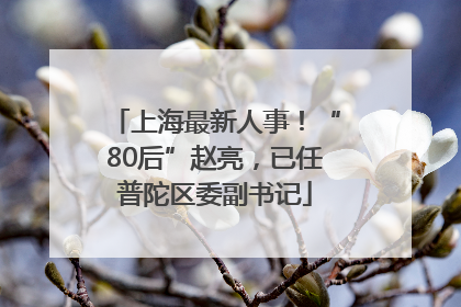 上海最新人事！“80后”赵亮，已任普陀区委副书记