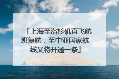 上海至洛杉矶直飞航班复航，至中亚国家航线又将开通一条