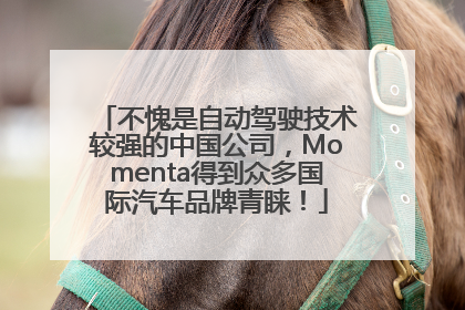 不愧是自动驾驶技术较强的中国公司，Momenta得到众多国际汽车品牌青睐！
