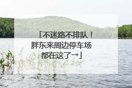 不迷路不排队！胖东来周边停车场都在这了→