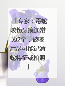 专家：毒蛇咬伤牙痕通常为2个，被咬后尽可能记清蛇特征或拍照