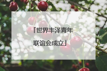 世界丰泽青年联谊会成立