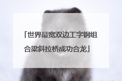 世界最宽双边工字钢组合梁斜拉桥成功合龙