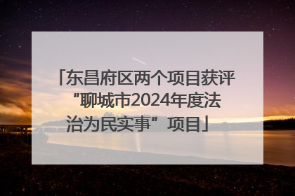 东昌府区两个项目获评“聊城市2024年度法治为民实事”项目