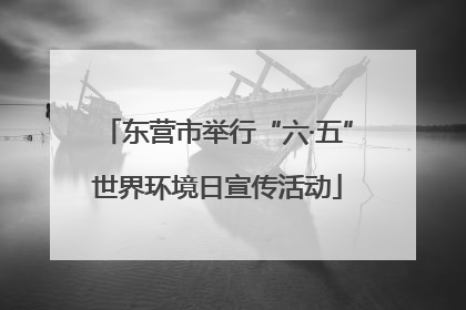 东营市举行“六·五”世界环境日宣传活动
