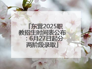 东营2025职教招生时间表公布：6月27日起分两阶段录取