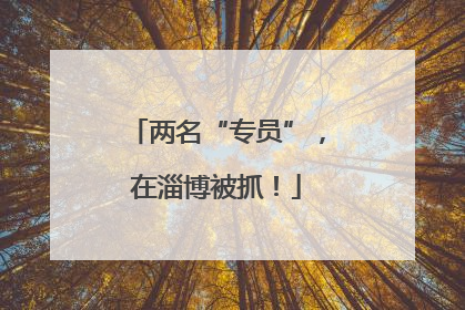 两名“专员”，在淄博被抓！