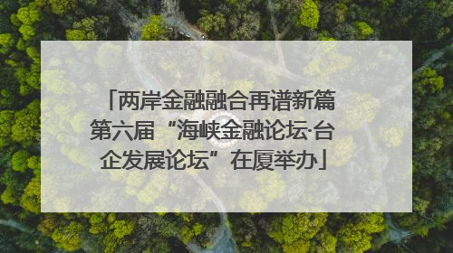 两岸金融融合再谱新篇 第六届“海峡金融论坛·台企发展论坛”在厦举办