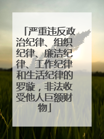 严重违反政治纪律、组织纪律、廉洁纪律、工作纪律和生活纪律的罗璇，非法收受他人巨额财物