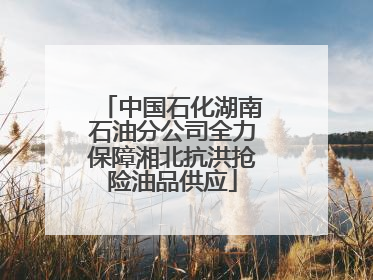 中国石化湖南石油分公司全力保障湘北抗洪抢险油品供应