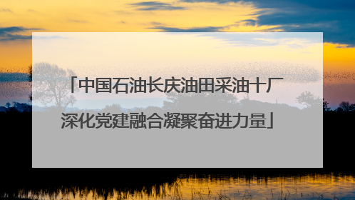 中国石油长庆油田采油十厂深化党建融合凝聚奋进力量