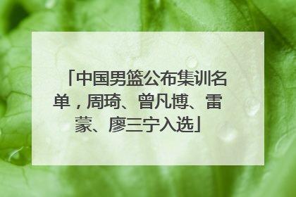 中国男篮公布集训名单，周琦、曾凡博、雷蒙、廖三宁入选