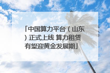 中国算力平台（山东）正式上线 算力租赁有望迎黄金发展期