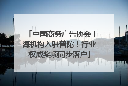 中国商务广告协会上海机构入驻普陀！行业权威奖项同步落户