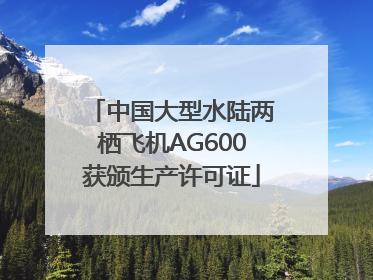 中国大型水陆两栖飞机AG600获颁生产许可证